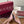 GG Horsebit Slingback 45MM Pink Ebony Monogram Canvas Point Toe Crystal-Embellished