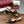 GG Horsebit Slingback Flat Black Ebony Monogram Canvas Point Toe Crystal-Embellished