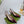 GG 26 Slingback Dark Purple Velvet 592419
