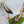 GG 26 Slingback Olive Green Velvet 592420