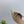 PRA 26SS Pumps 75 Beige Patent Leather 592347
