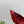 PRA 26SS High Heels Pumps 75 Red Patent Leather 592354