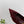 PRA 26SS High Heels Pumps 75 Burgundy Suede 592357
