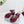 PRA 26SS Platform Sandals 75 Red Suede Sheepskin 592380