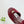 PRA 26SS Platform Sandals 75 Burgundy Suede Sheepskin 592388