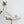 PRA 26SS Slingback 55 Ivory Beige Cowhide 592403