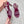 Miu 26s Heeled Sandals 8.5cm Burgundy Snakeskin Texture 680494