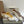 DC 25 Golden Goos Superstar Trainers Beige Cowhide & Rubber 334967