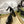 HIGH SANDAL SQUARE HEEL 12 CM IN BLACK CALFSKIN