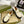 GG LOAFER WITH HORSEBIT WHITE CALFSKIN