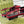 GG SLINGBACK FLATS CHERRY VELVET