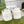 Gucci 2025 Screener Sneaker White Gray Leather Canvas 758539