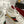 GC 2025 Re-Motion Sneaker White Suede Cowhide 292412