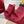 GC Wedge With Horsebit Sandal Red Canvas 292422