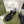 GC 25 Glossy Black Double G Sandal Black Rubber 292431