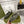GC 25 Black Double G Sandal Dark Green Rubber 292428