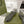 GC 25 Silver Double G Sandal Dark Green Rubber 292429