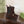 Gucci Horsebit Ankle Boots Dark Brown Black Suede Sheepskin 490527