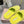 Miu Slippers Lemon Yellow Wool Fabric