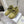 Loewe One-Piece Snow Boots Light Green Suede 435629