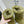 Loewe Lago Boots Light Green Suede 435625