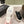 CC 26s Dad Platform Sandal Mule Black Sheepskin 762871