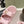 CC 26s Dad Platform Sandal Mule Light Pink Sheepskin 762873