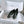 CC Slinback Flats In Black Glossy Lambskin 144671