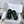 CC Sandals In Black Lambskin 144528
