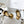 CC 25 Marry Jane Beige Imported Cowhide 300175
