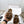 CC 25s Slippers 50mm Brown Wool 433604