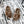 CC 25s Slippers 50mm Brown Wool 433604