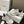 CD Chrono Sneaker White Black Mesh Calfskin 905015