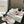 CD Chrono Sneaker White Red Mesh Calfskin 905017