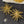 Chanel 2026 Gold Double C Firework Earrings