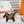 HM Rodeo Pegase PM Charm Black mix Brown Lambskin
