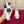 DC 24 Portofino Sneakers Black White Digital-Print Sheepskin & Crown Embroidery 100858