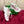 DC 25 Daymaster Sneakers Multicolor Cowhide & Sheepskin 271109
