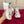 DC 25 Daymaster Sneakers Multicolor Cowhide & Sheepskin 271109
