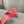 mule sandal 80 rose pink calfskin flower