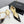 CC T-Strap Kitten Heels Beige Black Sheepskin 619975