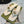 GG THONG SANDALS 55 WHITE CALKSKIN
