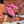 lp summer charm walk loafer dark pink suede