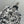 CD 25 Plant Flower Print Denim Jacket White Gray Cotton 205152