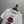 Gucci 25 Cartoon Fun Teddy Print Short-sleeved T-shirt White Cotton 215692