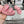 CC 25 Slide Leather Chain 6cm Pink Lambskin 338657