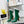 CC 26 FW Ankle Boots 8.5cm Green White Sheepskin 919944