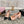 mary janes 60 double buckle beige calfskin black grosgrain