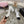mary janes 60 double buckle white calfskin black grosgrain