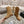 CC Ankle Boots 40mm Dark Beige Suede